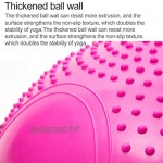 YJX Balle de yoga anti-explosion avec point de massage Diamètre 60 cm